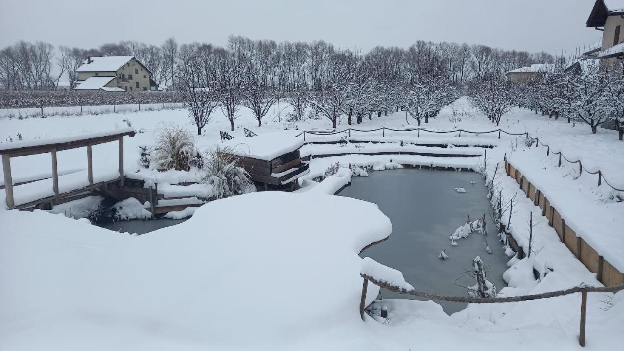Casa Danei Hotel Brassó Kültér fotó