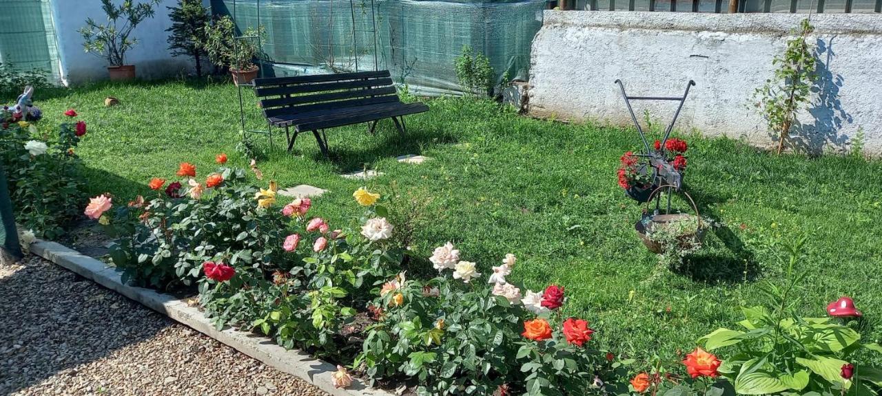 Casa Danei Hotel Brassó Kültér fotó